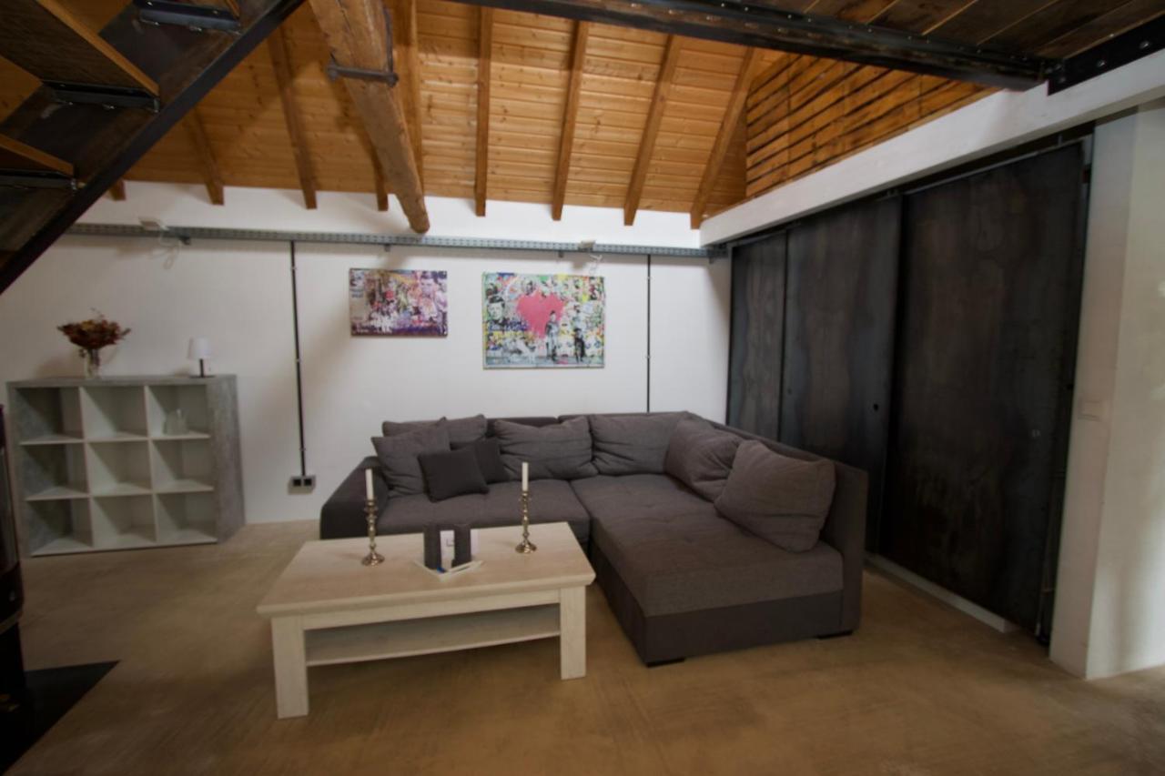 Mini-loft In Schoener Voreifel Apartment Mechernich